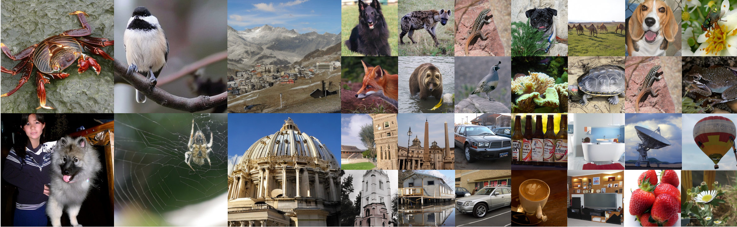 Qualitative generation results of DiverseDiT