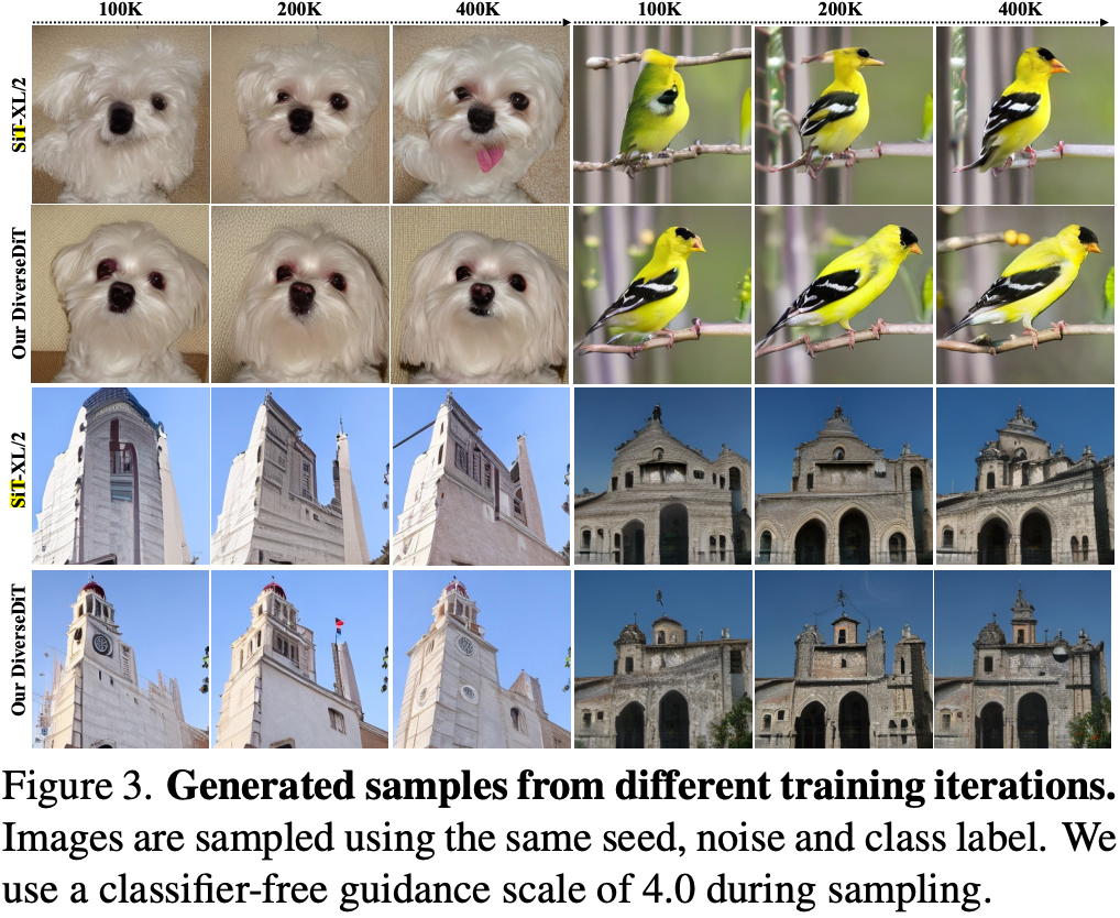 Generated images at different training iterations